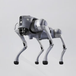 ai-dog2-120x120.jpg